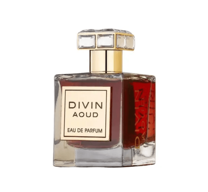 French Avenue French Avenue Divin Aoud 100ml - Muškarci parfem